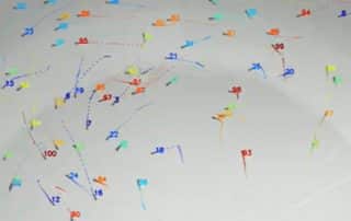 Case Study: Tracking large collectives of unmarked animals