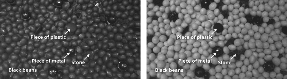 revolutionizing imaging with sony's swir technology in the upcoming eros camera series sony swir sensor food defect detection
