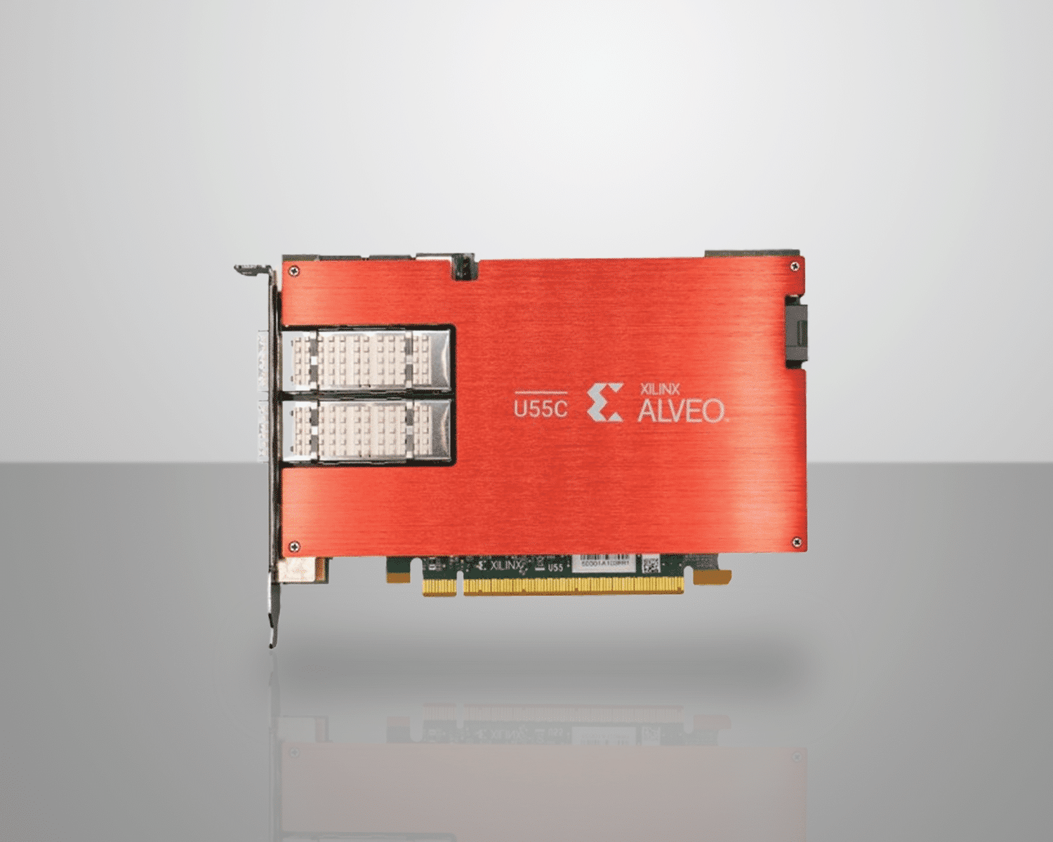 PZ-100 DUAL Zeus Network Interface Card