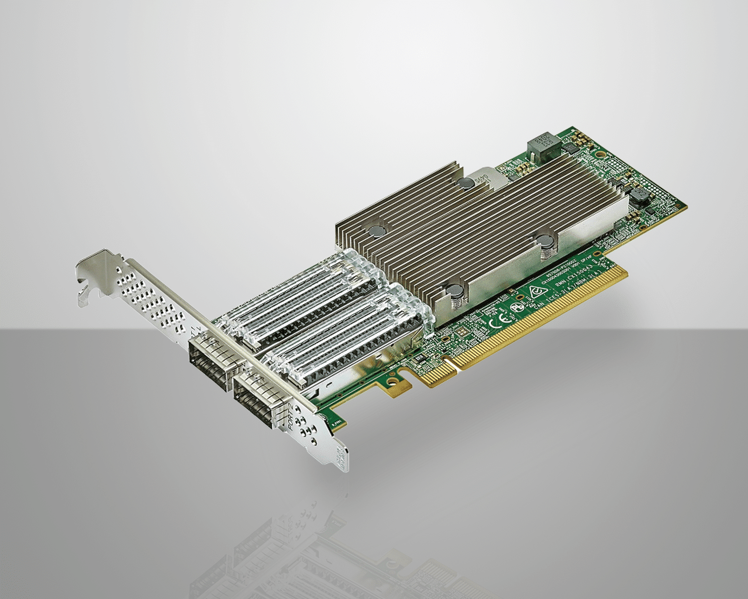 PZ-100 DUAL Zeus Network Interface Card