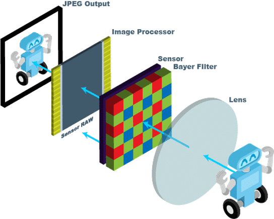 Machine vision camera image sensor