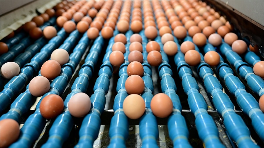 eSDK Pro Software Development Kit can support automation and inspection applications in machine vision.